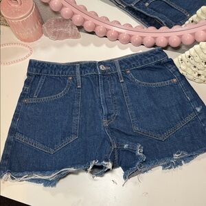 We The Free Classic Blue Jean Shorts